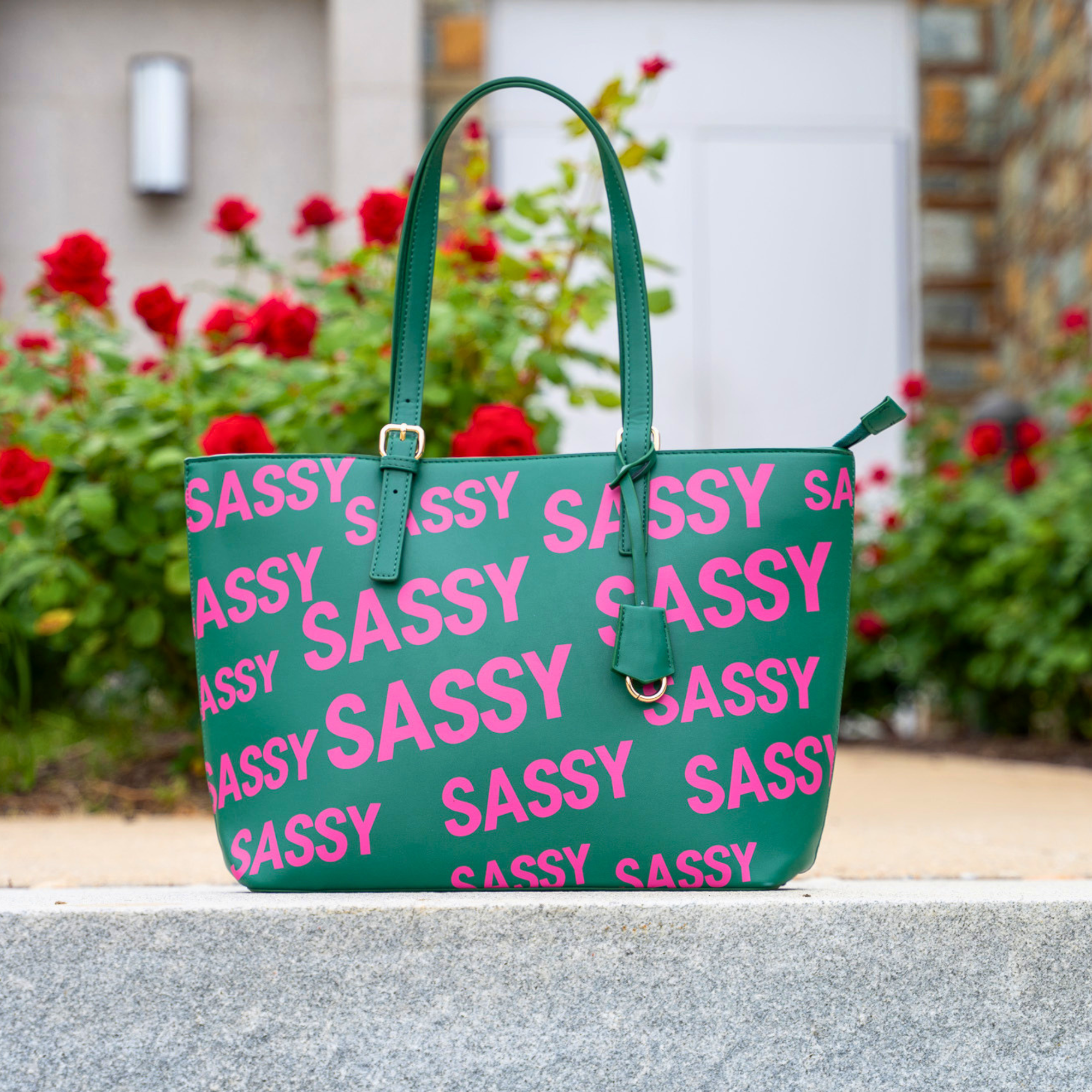 Pretty In The City promotional bundle featuring the Pink &amp; Green Sassy City Tote, Maverick Lip Liner, Off Black Sculpt &amp; Serve Brow Pencil, Confidence Card Stack, and Roxie Radiance Cuff by Sassy Jones.