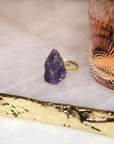 Energy Attraction Adjustable Ring - Amethyst,Rings, Sassy Jones,