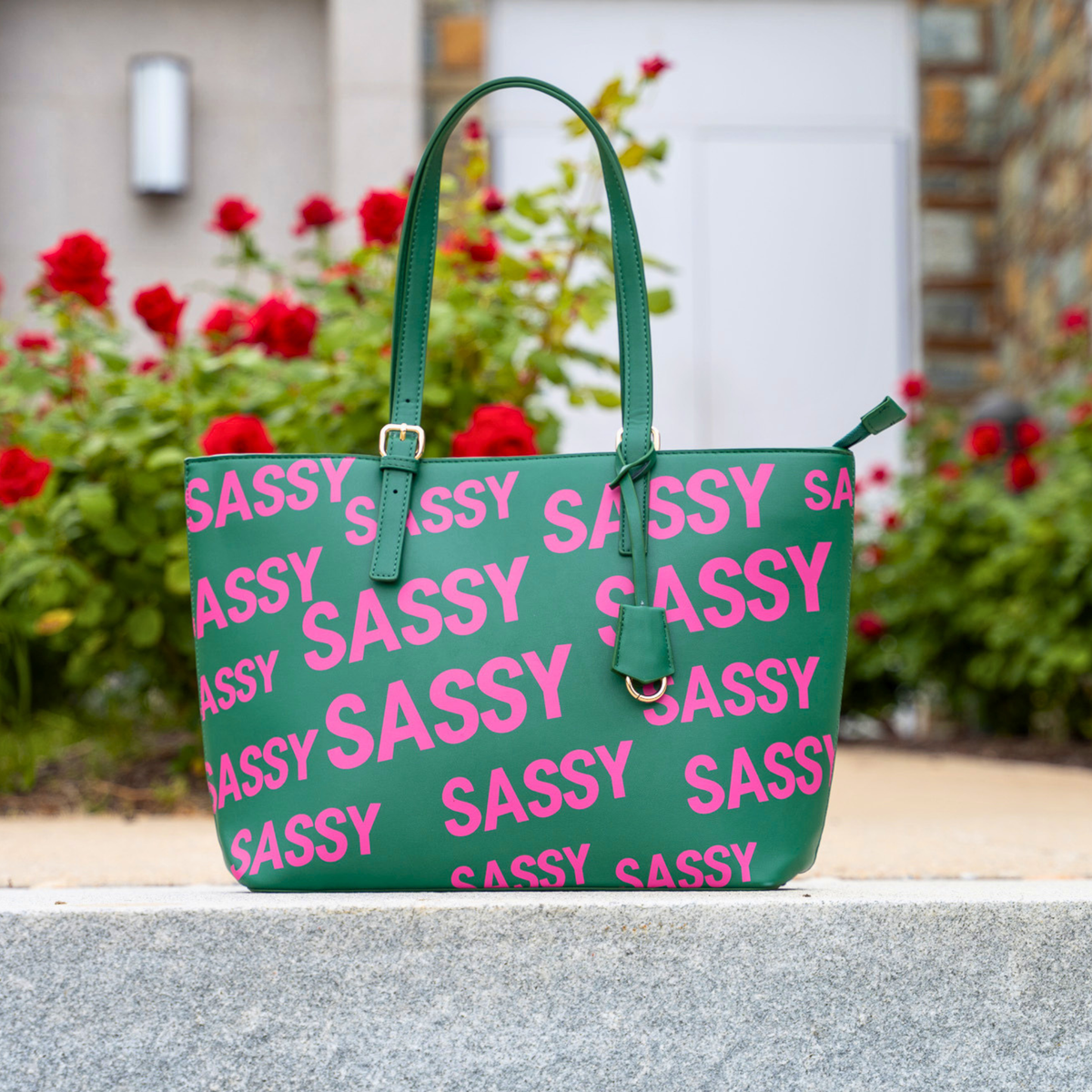 Sassy City Tote - Pink/Green | Sassy Jones display picture 1