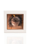 Sabrina 3D Mink Lashes (Medium Level) - Sassy Jones